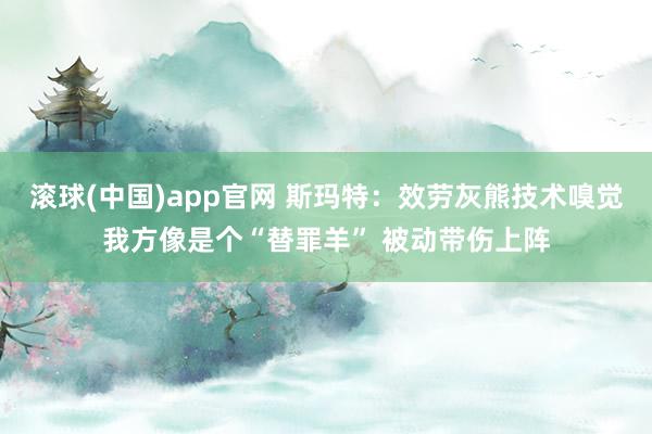 滚球(中国)app官网 斯玛特：效劳灰熊技术嗅觉我方像是个“替罪羊” 被动带伤上阵
