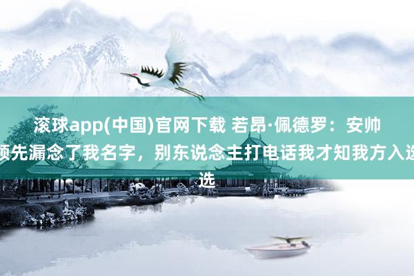 滚球app(中国)官网下载 若昂·佩德罗：安帅领先漏念了我名字，别东说念主打电话我才知我方入选