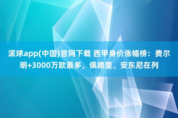 滚球app(中国)官网下载 西甲身价涨幅榜：费尔明+3000万欧最多，佩德里、安东尼在列
