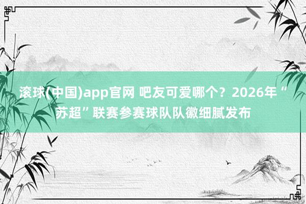 滚球(中国)app官网 吧友可爱哪个？2026年“苏超”联赛参赛球队队徽细腻发布