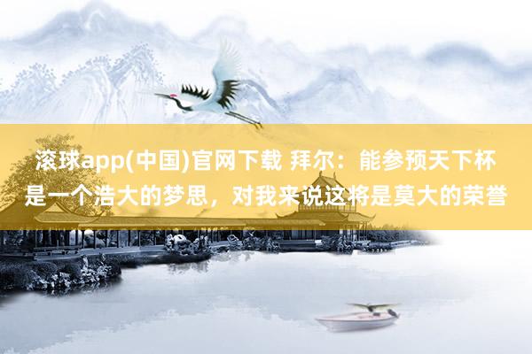 滚球app(中国)官网下载 拜尔：能参预天下杯是一个浩大的梦思，对我来说这将是莫大的荣誉