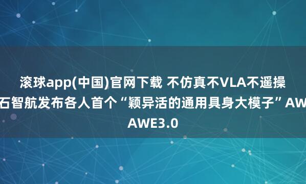 滚球app(中国)官网下载 不仿真不VLA不遥操：它石智航发布各人首个“颖异活的通用具身大模子”AWE3.0