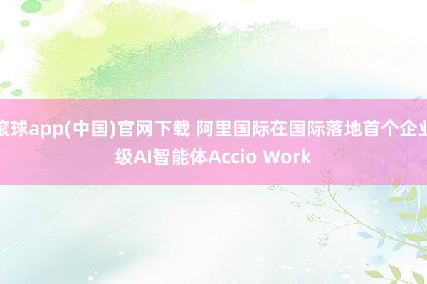 滚球app(中国)官网下载 阿里国际在国际落地首个企业级AI智能体Accio Work