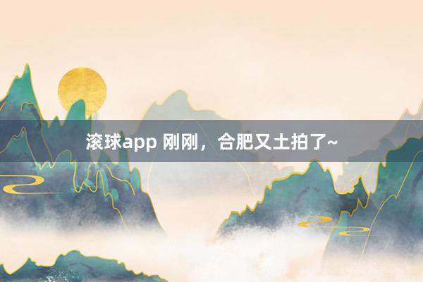 滚球app 刚刚，合肥又土拍了~