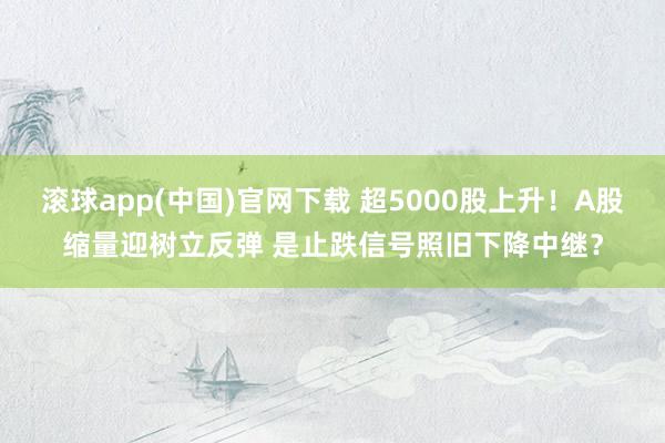 滚球app(中国)官网下载 超5000股上升！A股缩量迎树立反弹 是止跌信号照旧下降中继？