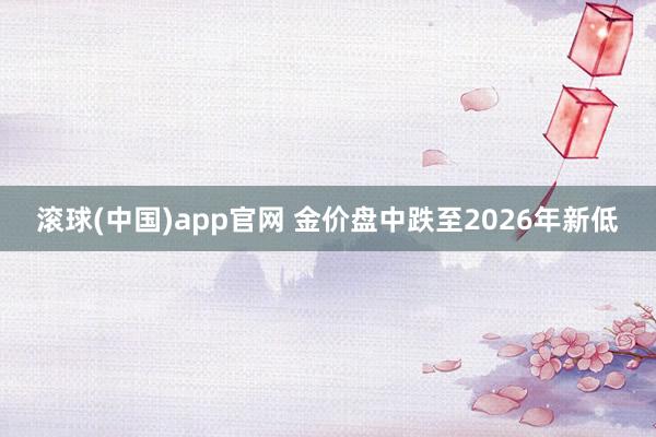 滚球(中国)app官网 金价盘中跌至2026年新低