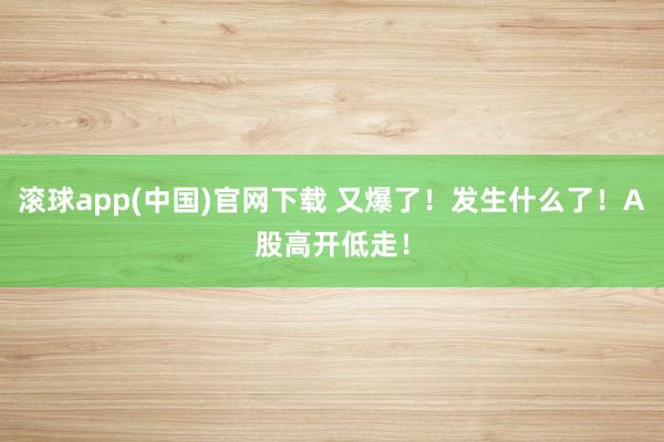 滚球app(中国)官网下载 又爆了！发生什么了！A股高开低走！