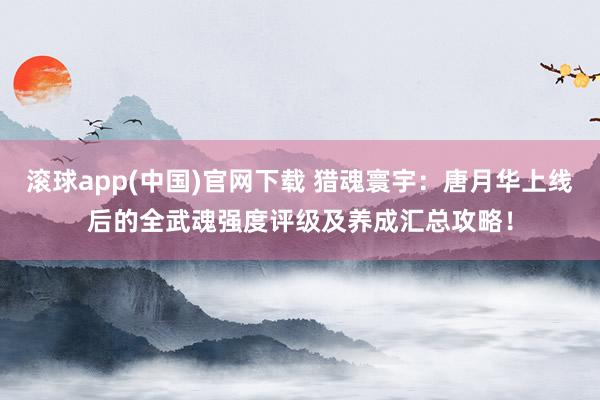 滚球app(中国)官网下载 猎魂寰宇：唐月华上线后的全武魂强度评级及养成汇总攻略！