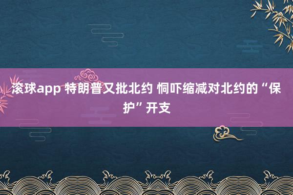 滚球app 特朗普又批北约 恫吓缩减对北约的“保护”开支