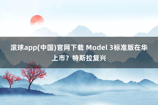 滚球app(中国)官网下载 Model 3标准版在华上市？特斯拉复兴