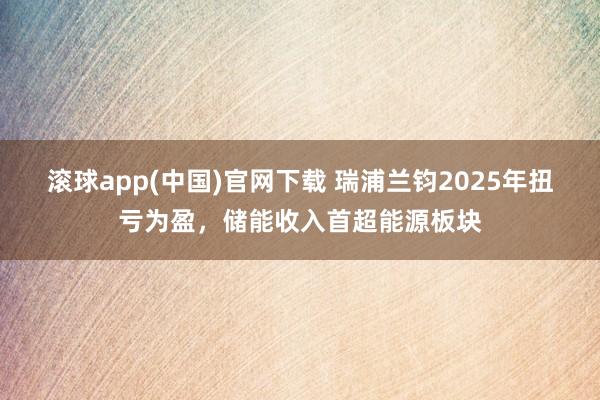 滚球app(中国)官网下载 瑞浦兰钧2025年扭亏为盈，储能收入首超能源板块