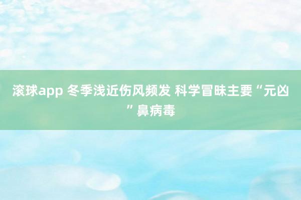 滚球app 冬季浅近伤风频发 科学冒昧主要“元凶”鼻病毒