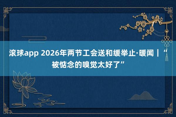 滚球app 2026年两节工会送和缓举止·暖闻｜“被惦念的嗅觉太好了”