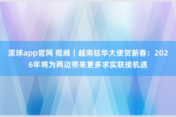 滚球app官网 视频｜越南驻华大使贺新春：2026年将为两边带来更多求实联接机遇