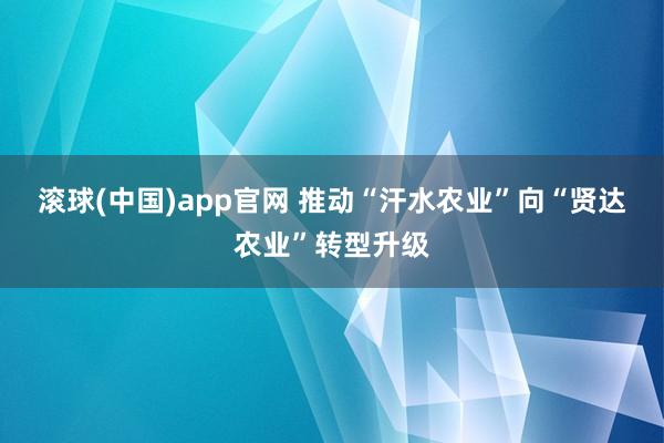 滚球(中国)app官网 推动“汗水农业”向“贤达农业”转型升级