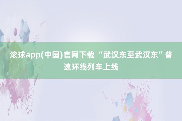 滚球app(中国)官网下载 “武汉东至武汉东”普速环线列车上线