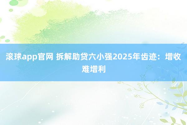 滚球app官网 拆解助贷六小强2025年齿迹：增收难增利