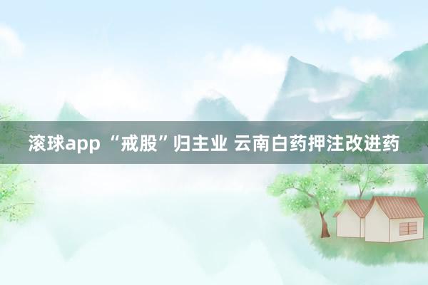 滚球app “戒股”归主业 云南白药押注改进药