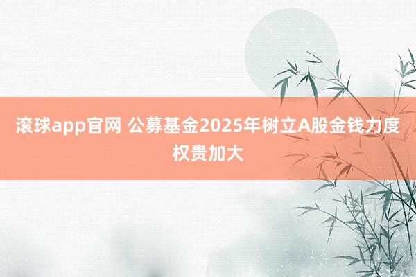 滚球app官网 公募基金2025年树立A股金钱力度权贵加大