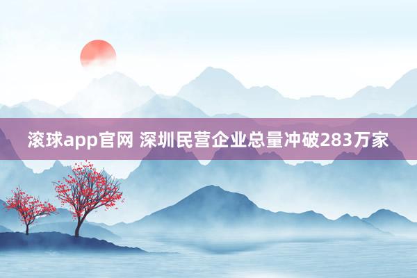 滚球app官网 深圳民营企业总量冲破283万家