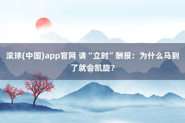 滚球(中国)app官网 请“立时”酬报：为什么马到了就会凯旋？