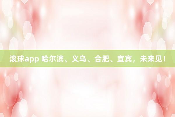 滚球app 哈尔滨、义乌、合肥、宜宾，未来见！