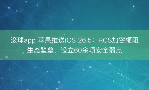滚球app 苹果推送iOS 26.5：RCS加密梗阻生态壁垒，设立60余项安全弱点