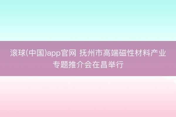滚球(中国)app官网 抚州市高端磁性材料产业专题推介会在昌举行