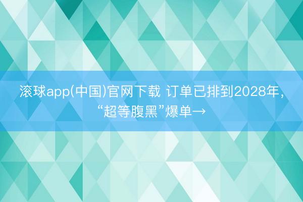 滚球app(中国)官网下载 订单已排到2028年，“超等腹黑”爆单→