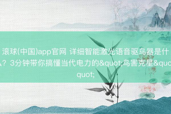 滚球(中国)app官网 详细智能激光语音驱鸟器是什么？3分钟带你搞懂当代电力的"鸟害克星"