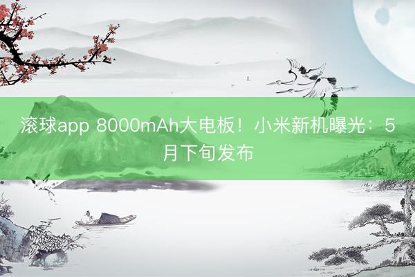 滚球app 8000mAh大电板！小米新机曝光：5月下旬发布