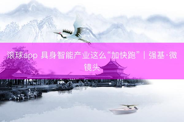 滚球app 具身智能产业这么“加快跑”｜强基·微镜头