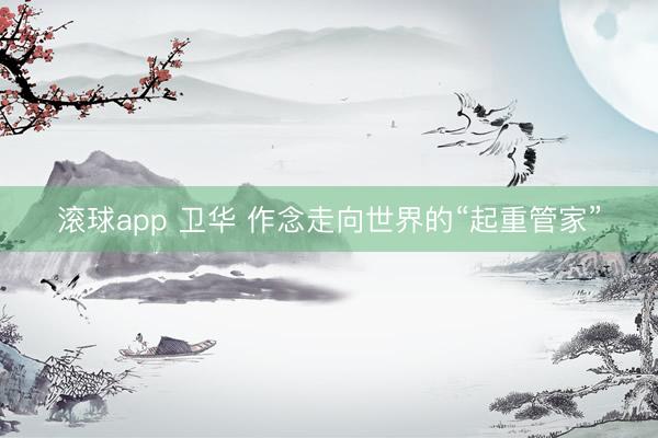 滚球app 卫华 作念走向世界的“起重管家”