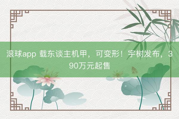 滚球app 载东谈主机甲，可变形！宇树发布，390万元起售