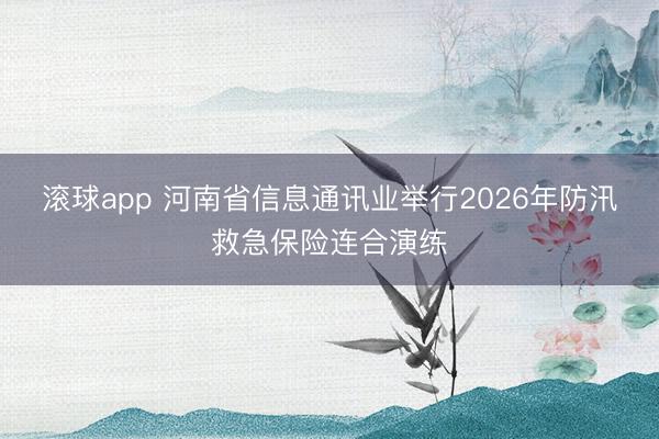 滚球app 河南省信息通讯业举行2026年防汛救急保险连合演练