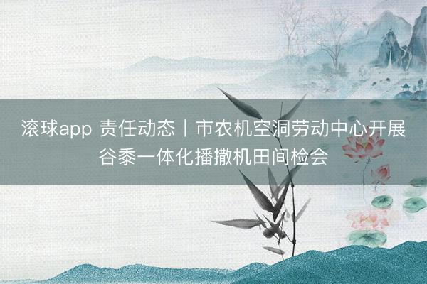 滚球app 责任动态丨市农机空洞劳动中心开展谷黍一体化播撒机田间检会