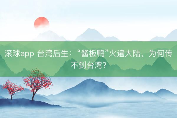 滚球app 台湾后生：“酱板鸭”火遍大陆，为何传不到台湾？