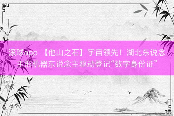 滚球app 【他山之石】宇宙领先！湖北东说念主形机器东说念主驱动登记“数字身份证”
