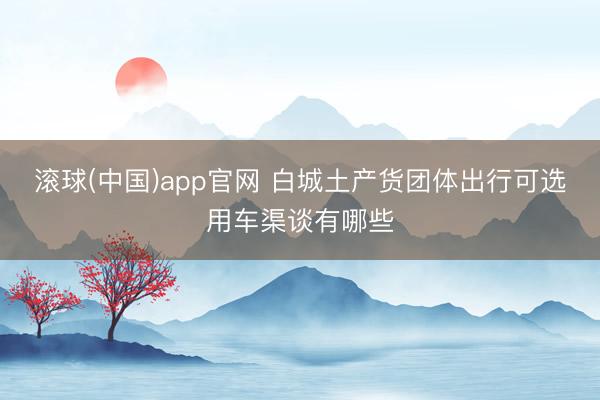 滚球(中国)app官网 白城土产货团体出行可选用车渠谈有哪些