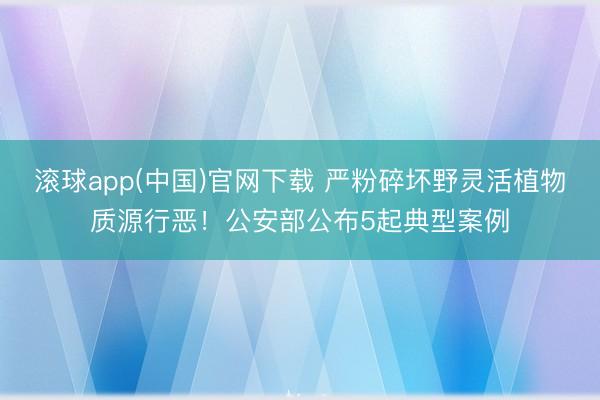 滚球app(中国)官网下载 严粉碎坏野灵活植物质源行恶！公安部公布5起典型案例