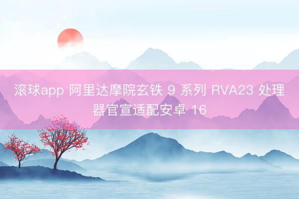 滚球app 阿里达摩院玄铁 9 系列 RVA23 处理器官宣适配安卓 16