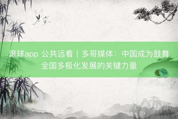 滚球app 公共远看｜多哥媒体：中国成为鼓舞全国多极化发展的关键力量