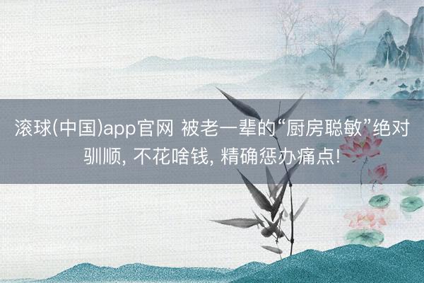 滚球(中国)app官网 被老一辈的“厨房聪敏”绝对驯顺， 不花啥钱， 精确惩办痛点!