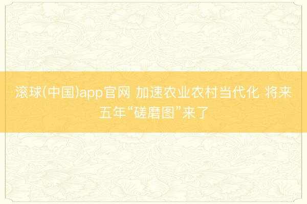 滚球(中国)app官网 加速农业农村当代化 将来五年“磋磨图”来了