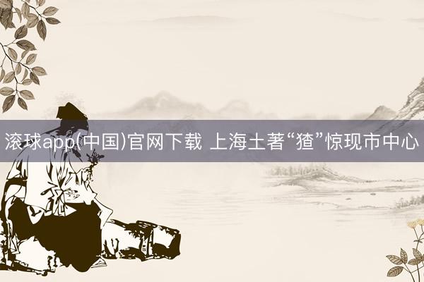 滚球app(中国)官网下载 上海土著“猹”惊现市中心
