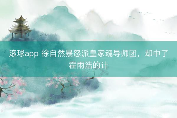 滚球app 徐自然暴怒派皇家魂导师团，却中了霍雨浩的计