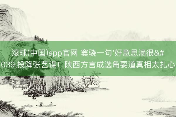 滚球(中国)app官网 窦骁一句'好意思滴很'投降张艺谋！陕西方言成选角要道真相太扎心