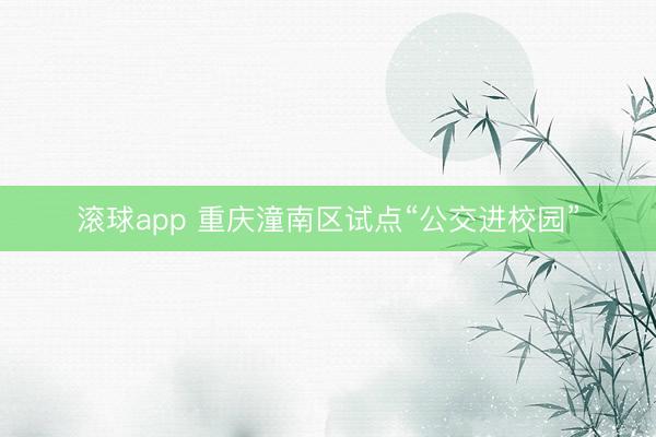 滚球app 重庆潼南区试点“公交进校园”
