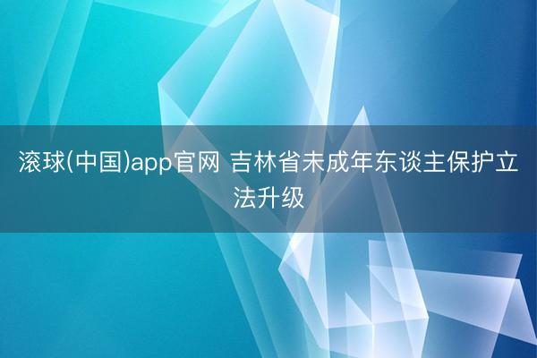 滚球(中国)app官网 吉林省未成年东谈主保护立法升级