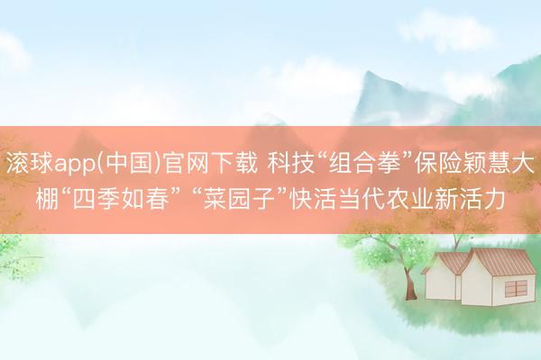 滚球app(中国)官网下载 科技“组合拳”保险颖慧大棚“四季如春” “菜园子”快活当代农业新活力